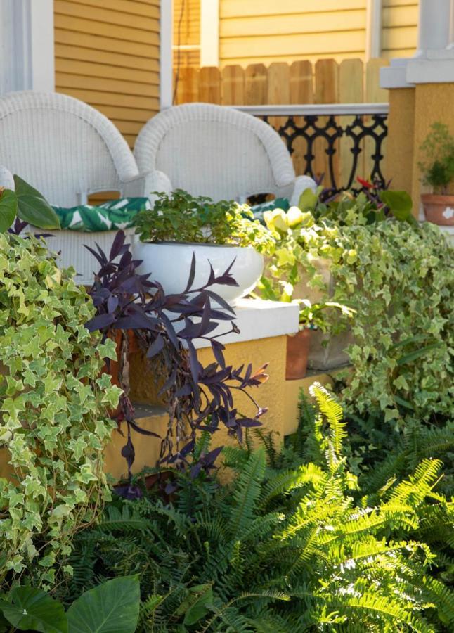 Auld Sweet Olive Bed And Breakfast New Orleans Buitenkant foto