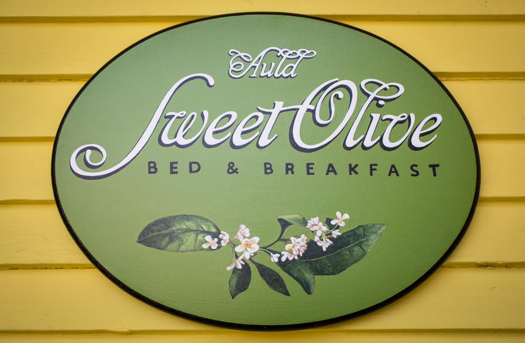 Auld Sweet Olive Bed And Breakfast New Orleans Buitenkant foto